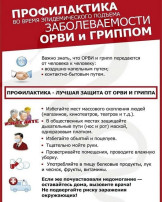 Профилактика гриппа Профилактика гриппа.