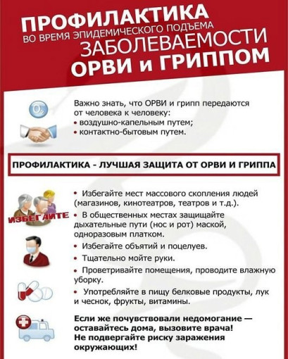 Профилактика гриппа Профилактика гриппа.
